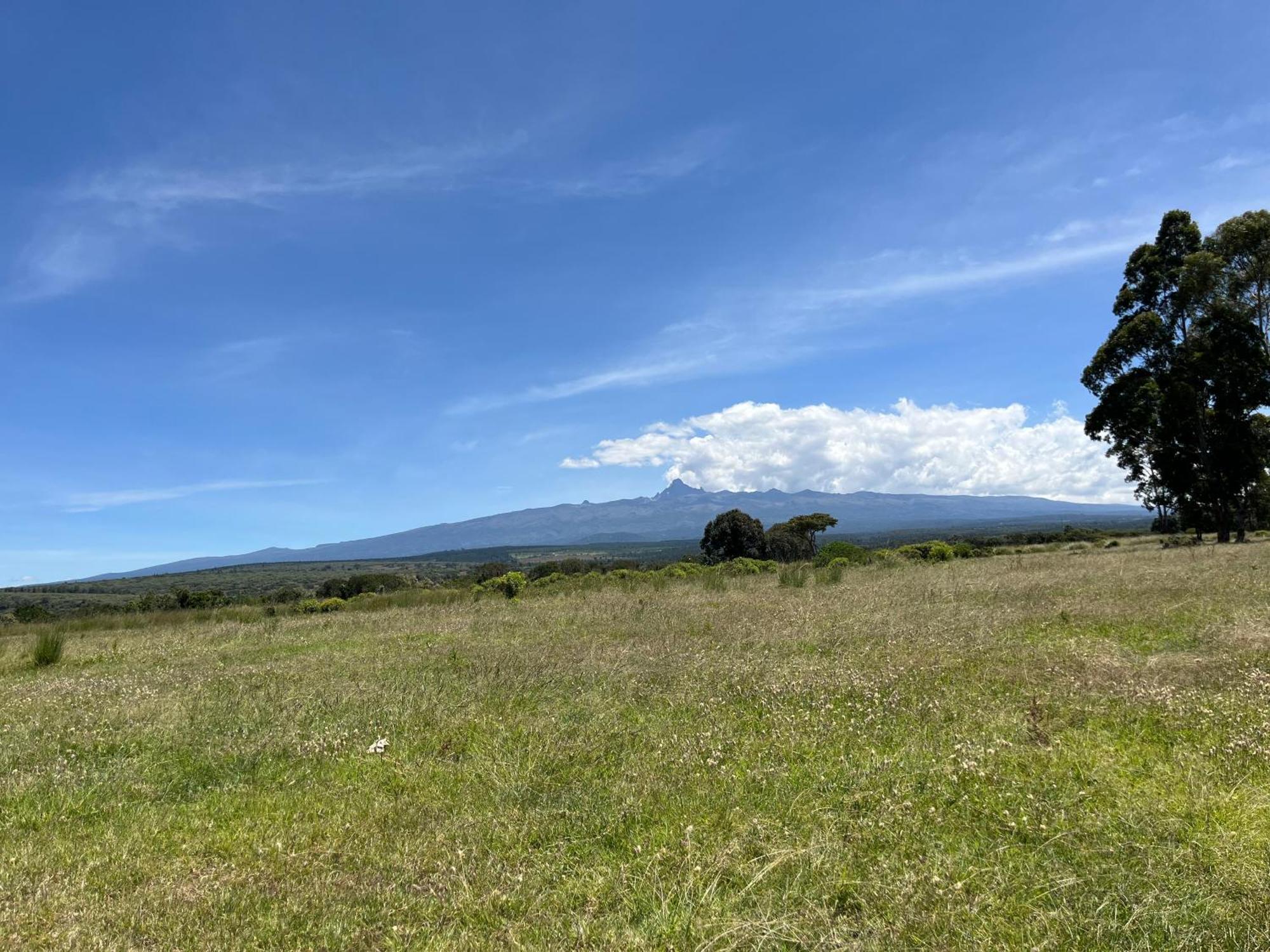 Rafiki House Hotell Nanyuki Exteriör bild